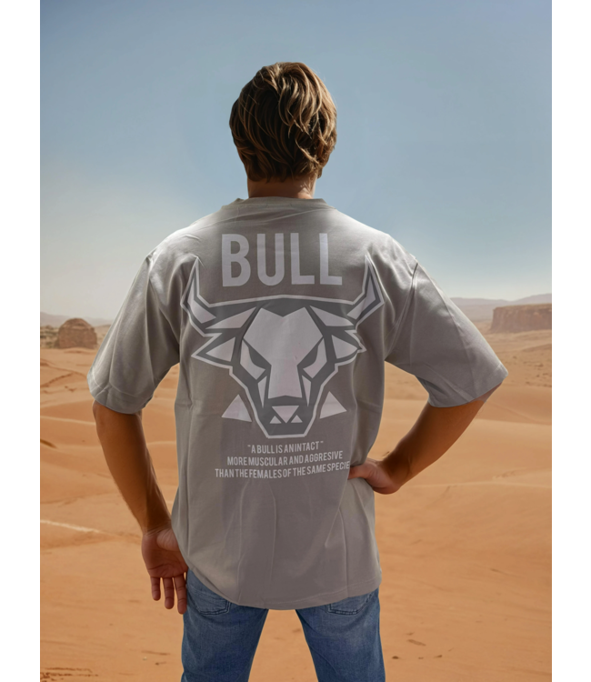 Outlet Bull T-Shirt Grey/White - Oversized Fit