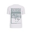 Guess Guess M5YI48KBW41-F0FI Logo SS Tee White/Green