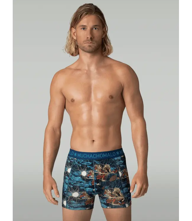 Muchachomalo MUCHACHOMALO U-GOLDEN1010-19 12-PACK 210GR