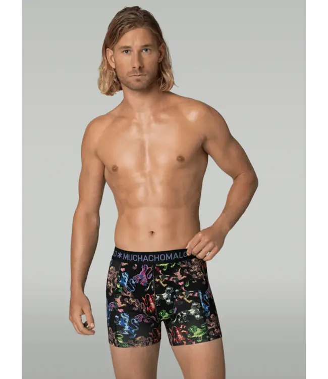 Muchachomalo MUCHACHOMALO U-GOLDEN1010-19 12-PACK 210GR