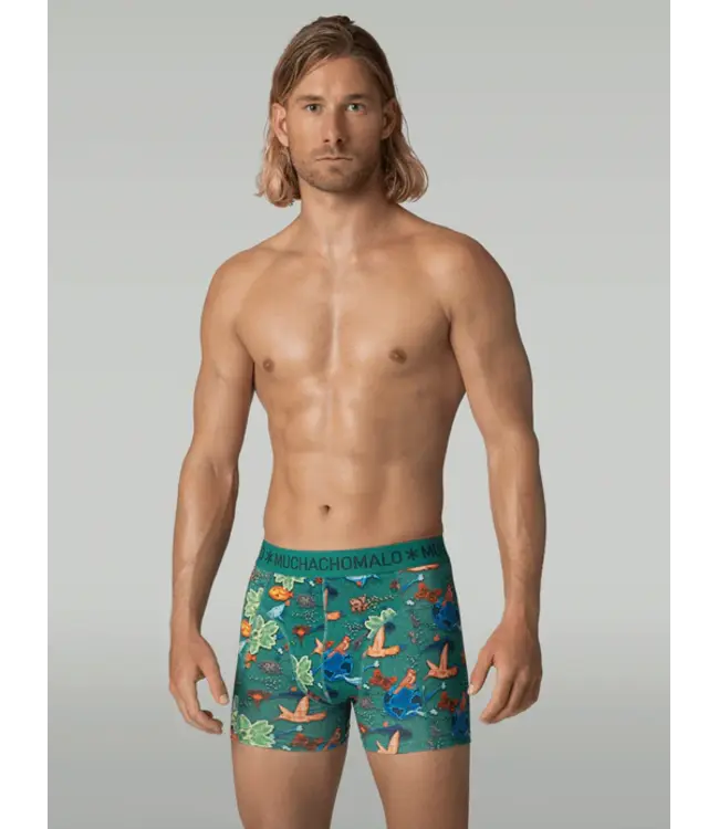 Muchachomalo MUCHACHOMALO U-GOLDEN1010-19 12-PACK 210GR