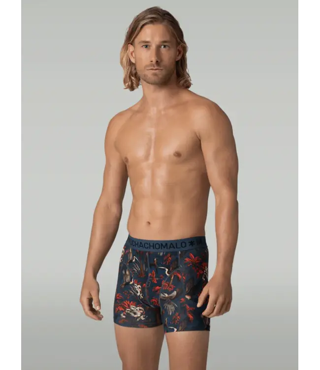 Muchachomalo MUCHACHOMALO PALMBIRDS1010-01 3-PACK DEAL 210GR