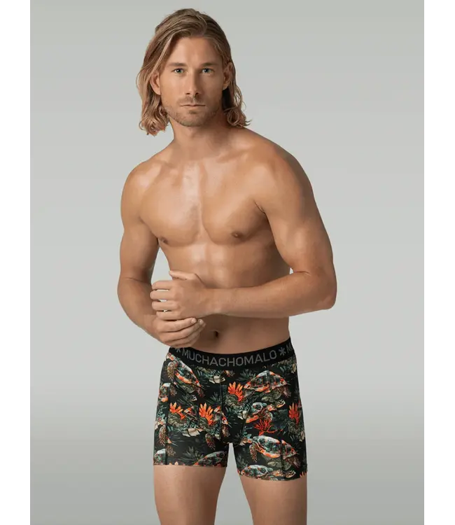 Muchachomalo MUCHACHOMALO TURTLE1010-01 3-PACK DEAL 210GR