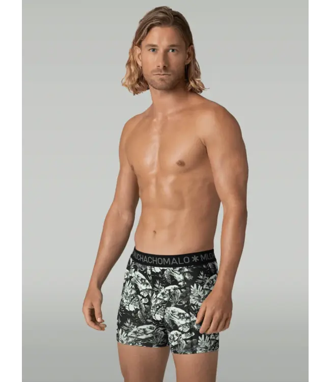 Muchachomalo MUCHACHOMALO TURTLE1010-01 3-PACK DEAL 210GR