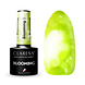 CLARESA CLARESA BLOOMING 5 LIME 5 ml CLARESA CLARESA BLOOMING 5 LIME 5 ml
