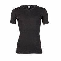 Beeren Heren T-Shirt V-Hals M3000 Zwart voordeelpack