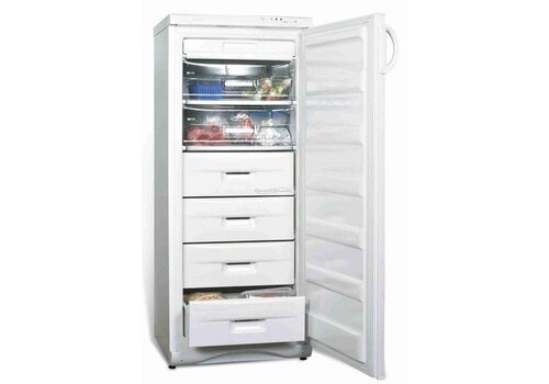  Combisteel Horeca Vrieskast met RVS buitenkant 275 Liter 