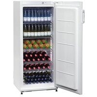 Statische Koelkast Wit Gesloten Deur