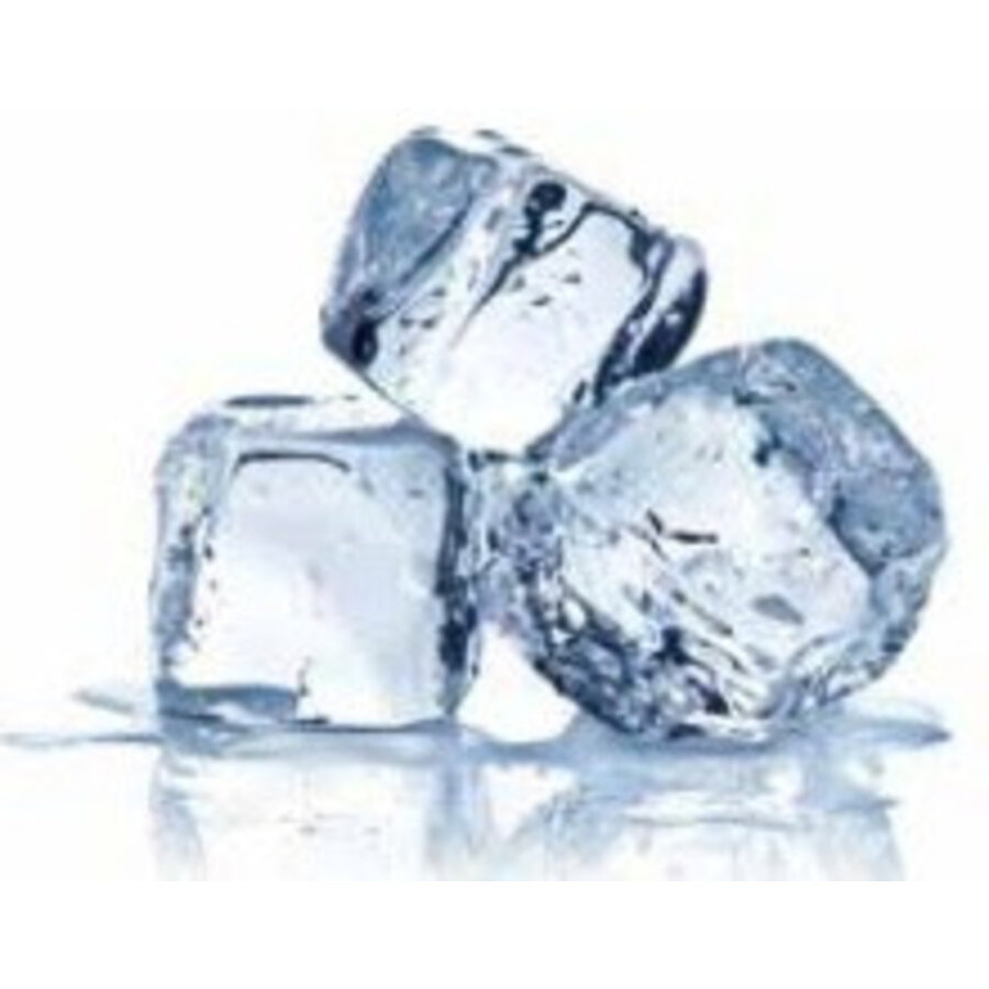 Vierkante IJsblokjes Maker - 40 kg/24u