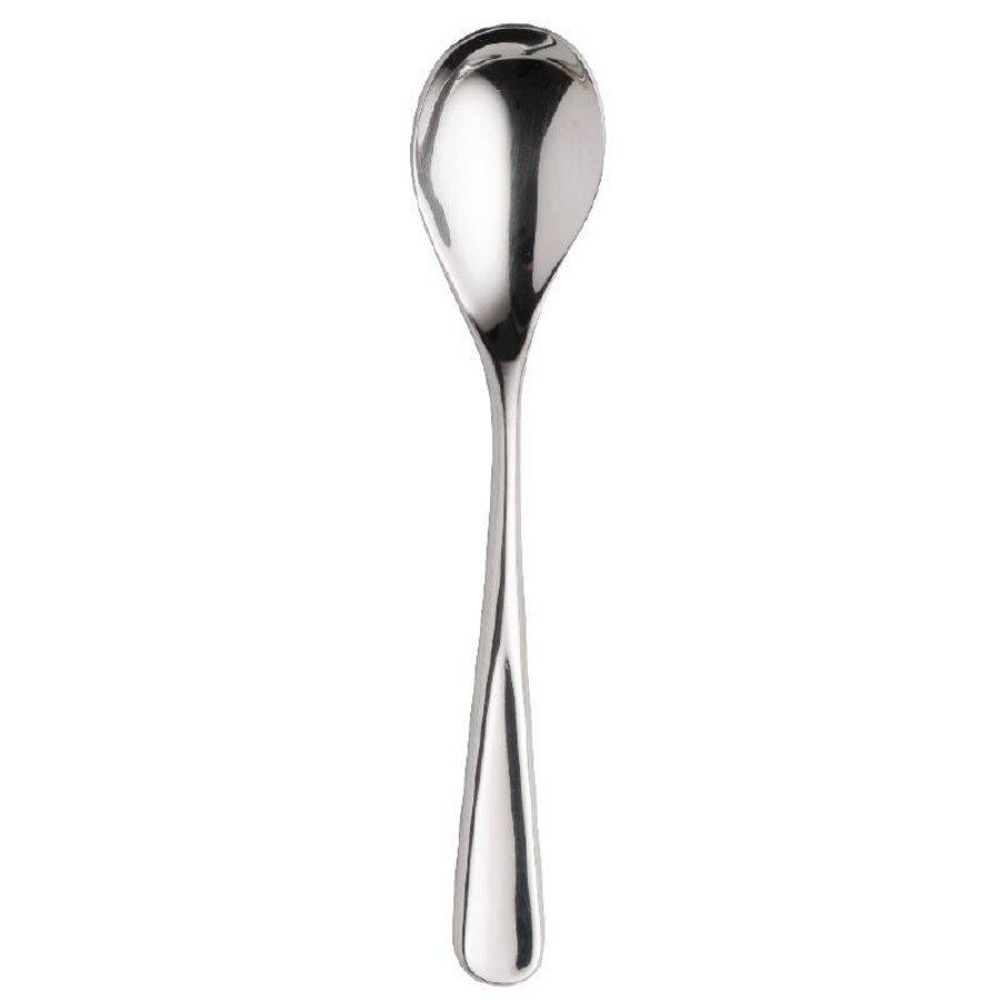 Dessert of Tafellepel RVS 17cm | 12 stuks