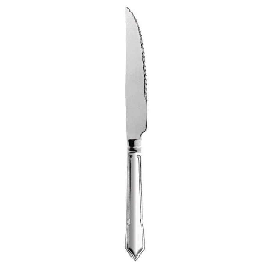 Steakmessen RVS 22,5cm | 12 stuks