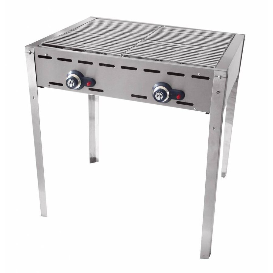 Propaangas barbecue met 2 branders