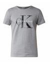 Cotton T-Shirt With Logoprint