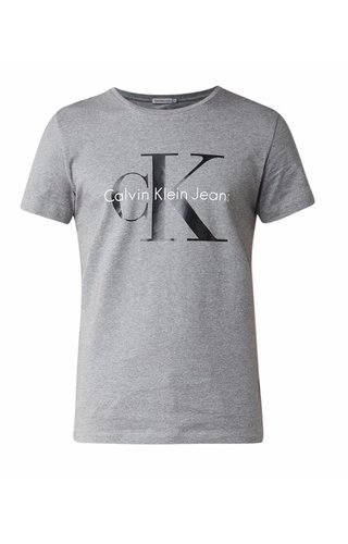 Calvin klein Cotton T-Shirt With Logoprint 