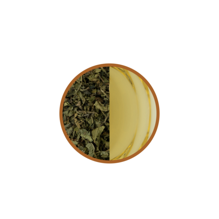 Brandmeesters Verveine
