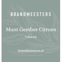 Theezakjes Bulk - Munt/Gember/Citroen 100 st.