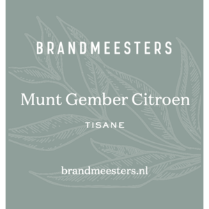 Brandmeesters Theezakjes Bulk - Munt/Gember/Citroen 100 st.