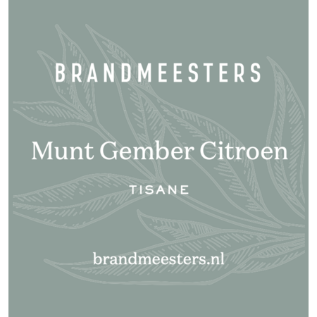 Brandmeesters Theezakjes Bulk - Munt/Gember/Citroen 100 st.