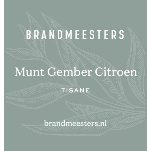 Brandmeesters Theezakjes Bulk - Munt/Gember/Citroen 100 st.