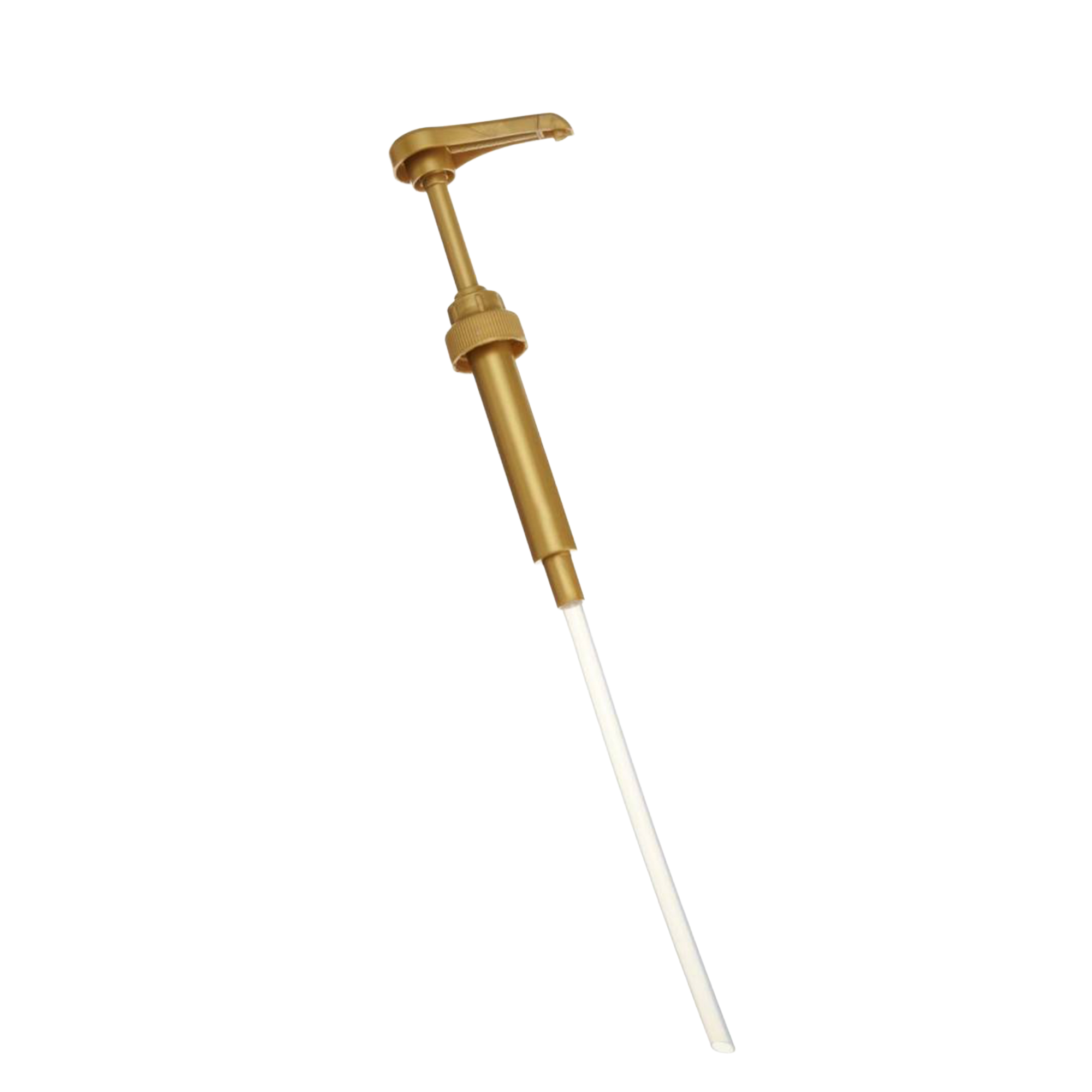Torani Torani pompje 0.75l goud