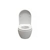 Wandcloset Easy Flush rimfree Compact