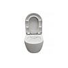 Wandcloset Easy Flush rimfree Compact