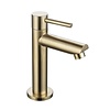 Fonteinkraan rond Goud Geborsteld