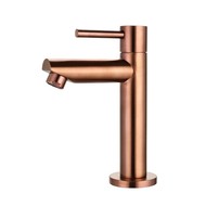 Fonteinkraan rond Brons