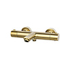 Badmengkraan thermostatisch rond Goud Geborsteld
