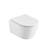 Wandcloset easy flush rimfree compact met slim toiletzitting softclose en quickrelease