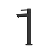 Fonteinkraan hoog Mat Zwart