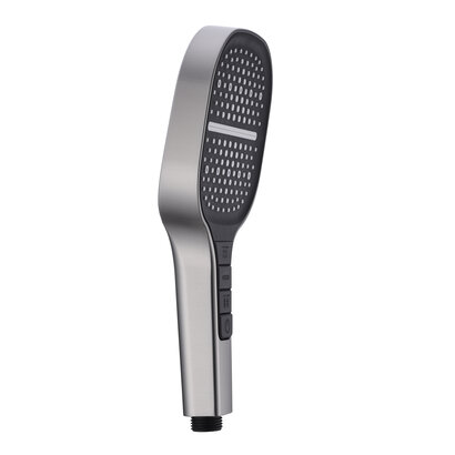 Handdouche Rain de Luxe RVS