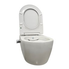 Wandcloset easy flush rimfree Bidet warm / koud water