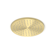 Hoofddouchekop Goud Geborsteld rond 20 cm