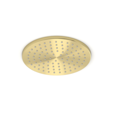 Hoofddouchekop Goud Geborsteld rond 20 cm