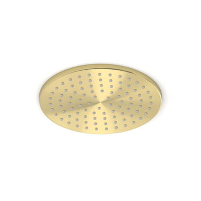 Hoofddouchekop Goud Geborsteld rond 20 cm