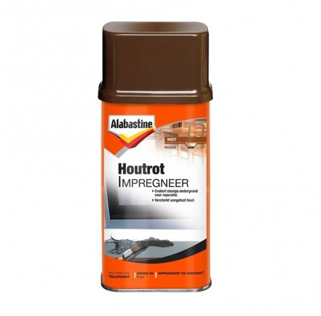 Alabastine Alabastine Houtrot impregneer - 250 ml