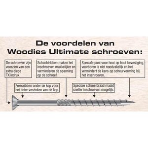 Woodies Woodies Ultimate Tellerkopschroef TX (torx) - verzinkt - 1