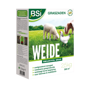 BSI Home & Garden care BSI Graszaad weide - smaakvol gras - 2,5kg - 64441