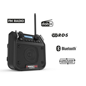 PerfectPro PerfectPro DABPRO bouwradio - DAB+ - DPR2 - 6