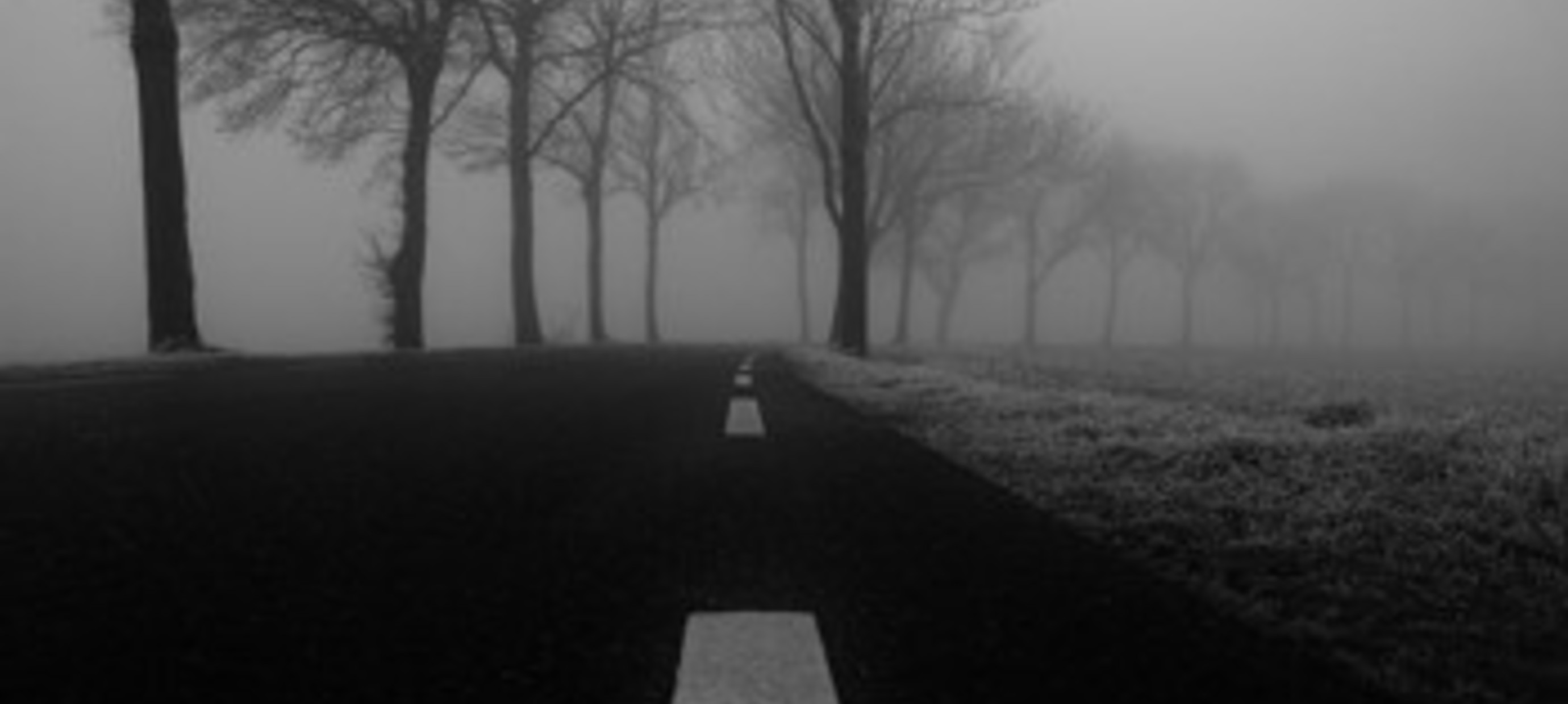 Nat, koud en donker.... Tijd voor de juiste trainingstips voor de winter van Edo van der Meer