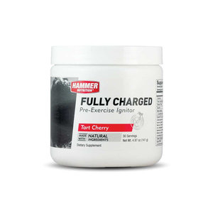 Hammer Nutrition Hammer | Fully Charged | 24 Stick Packs