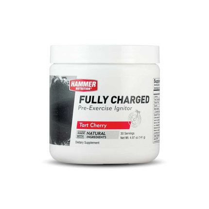 Hammer | Fully Charged | 24 Stick Packs