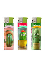 Aansteker Cactus