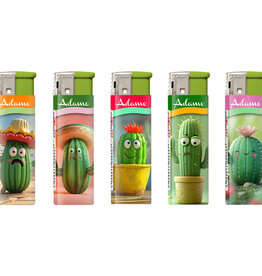 Aansteker Cactus