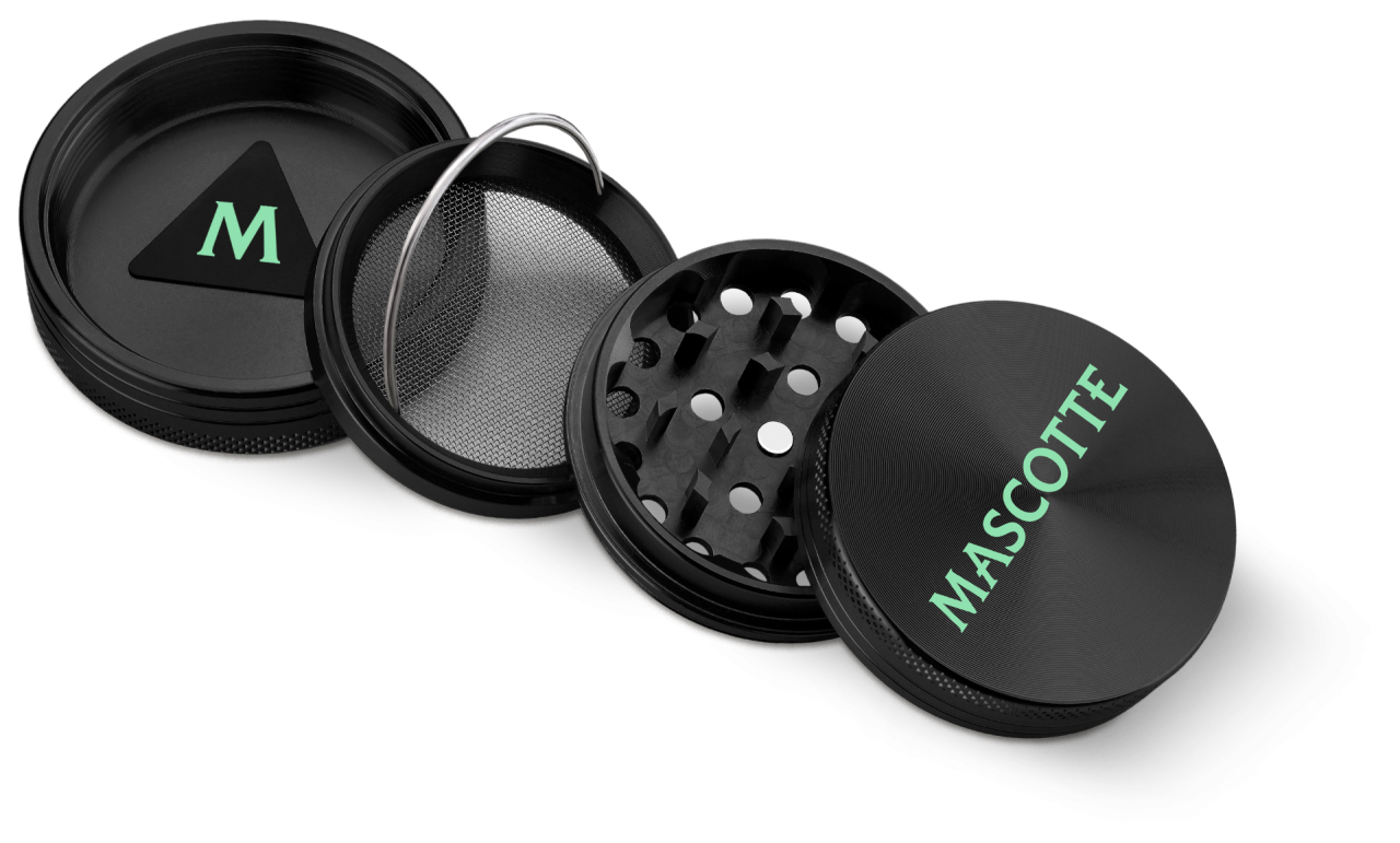 Mascotte Mascotte Expert Grinder