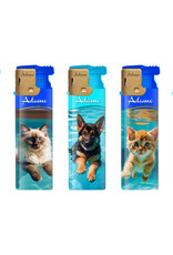 Turbo Summer Cat and Dog 5 X -