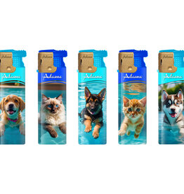 Turbo Summer Cat and Dog 5 X -