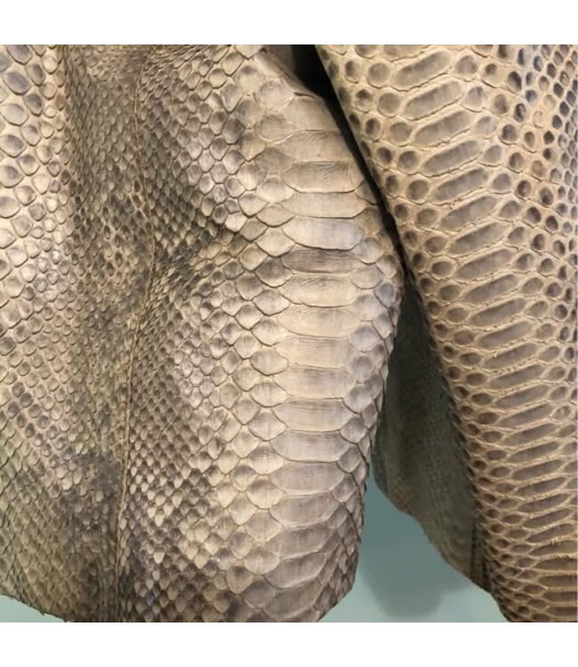 Designer Blaser aus Pythonskin