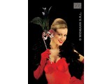Carnival-accessories: Velvet gloves red, 56cm